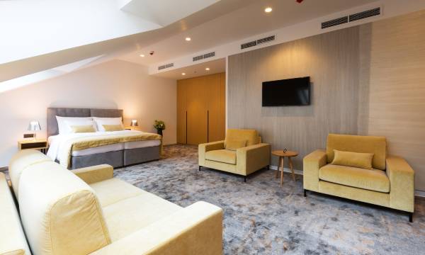 Boutique Hotel Museum
