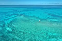 Cozy Waterfront Retreat w/ Private Boat Dock + Tiki