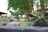 Paso Robles Ultimate Farm Stay! Country Oasis!! Very Unique!!!