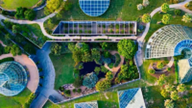 Alamo Heights-Close to Downtown-2 King Beds