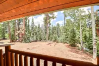 Dj's Duck Creek Village cabin