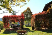 In Farmhouse romantic apartment for 2 people. Panoramic view!