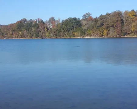 Two Brothers Cabin Near the Tennessee River and Blythes Ferry Landing 瑞縣酒店