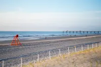 緊鄰海灘露台直通草坪，海濱公寓！！ - 海滩