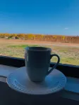 Nevid Family Home