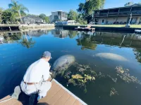 PALM CREEK GETAWAY spring meets gulf+pool & spa