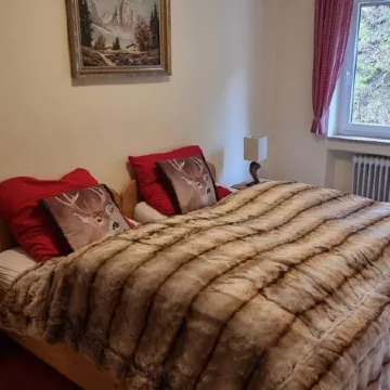 Apartment f. 2 adults + 2 children with swimming pool, sauna, WLAN, parking, cable cars May-Nov.