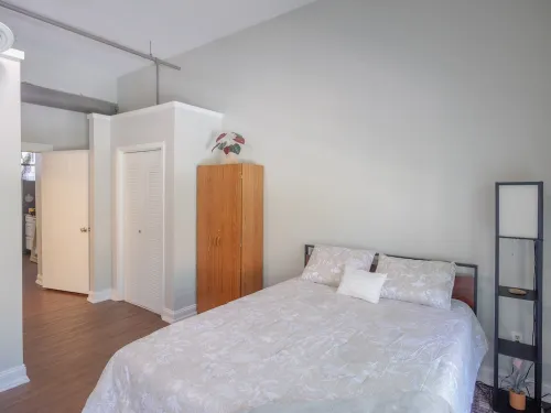 Luxury Cozy Palace Downtown