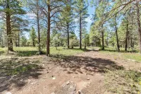 Flagstaff Getaway, a perfect 10.0 Spot for a family stay. - 4つ星