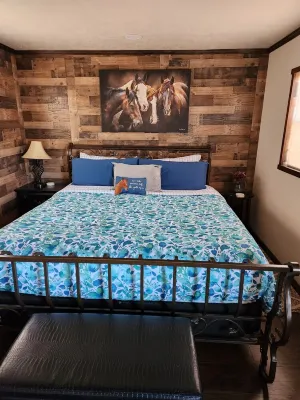 Cabin #5 at the LV Bar Ranch - Alphydda