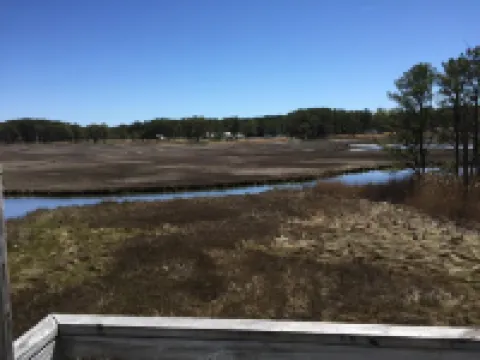 Tranquil Shores - Relaxation With a Water View!