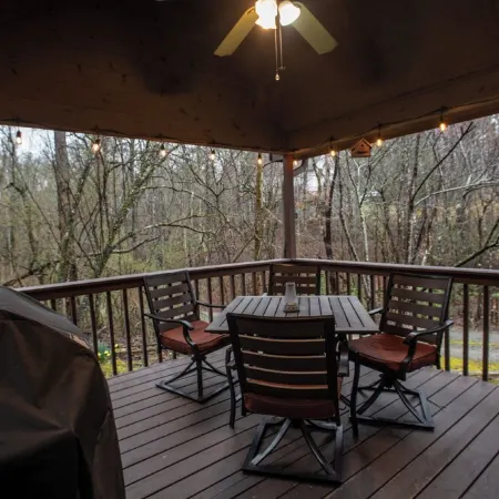 Cozy Pet Friendly Cabin in Townsend w/ TONS of privacy.  Sleeps 8.