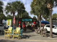 Spectacular Ocean View! Great Location on 30A   King Bed ,Newly Remodeled!