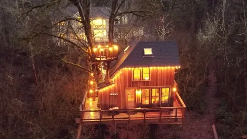 Emerald Forest Treehouse - From Treehouse Masters