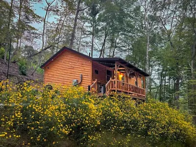 Hill Haven RRG / Small & Secluded Cabin / Hot Tub