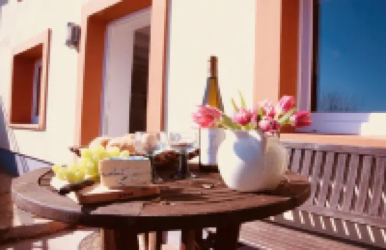 FELSENHAUS with view over Trier - living in the rock