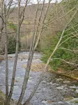 Camp David: Heart of the Wht. Mtns. N. Lincoln NH. Clean & Well Maintained