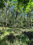 Forest home and outdoor adventure paradise! 15 minutes to Autzen Stadium.