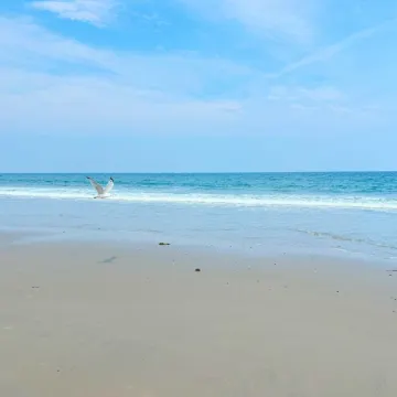 Seaside retreat: Steps to beach, board walk. 3 car parking, deck, BBQ.