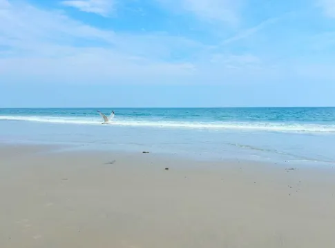 Seaside retreat: Steps to beach, board walk. 3 car parking, deck, BBQ.