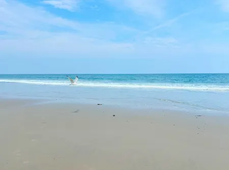 Seaside retreat: Steps to beach, board walk. 3 car parking, deck, BBQ. Отели рядом с достопримечательностью «Casino Ballroom»