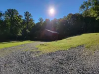 Black Bear Cabin, private and secluded!