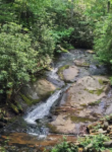 Secret Stash: Secluded Treehouse Overlooking Creek