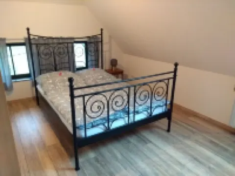 Baltic Sea wind at the edge of the forest