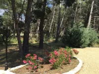 Le Mas de Baptiste near the town center with heated, sheltered swimming pool