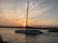 Wonderful and cosy holiday home with pool