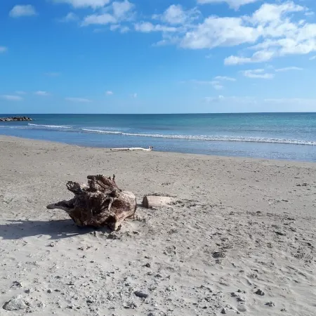 3mn walk from the beach, VILLA 5 bdrms in private residence between SEA and POND