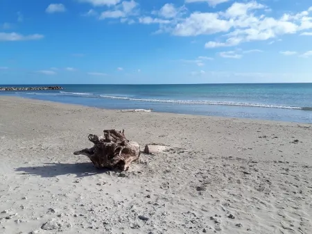 3mn walk from the beach, VILLA 5 bdrms in private residence between SEA and POND