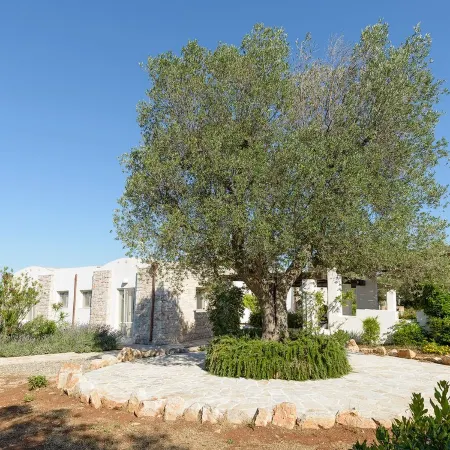 Luxury family villa to relax in with large pool