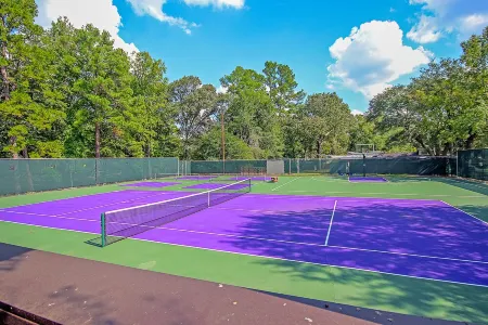 NEW! Regents Park Resort ~ Sparkling Pool, Tennis, Basketball, and Pickleball! ~