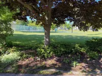 Heart of it all - Suttons Bay