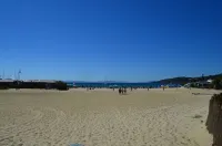 apartment with sea view, direct access to the beach, Hotels in Bormes-les-Mimosas