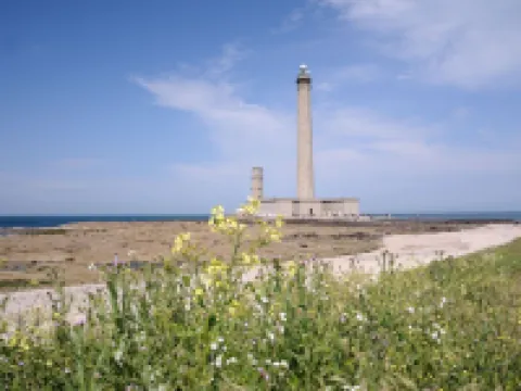 Charming Renovated Barn on the Outskirts of Sainte-Mère-Église 聖梅爾埃格利斯酒店