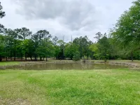 Pinehaven Luxury Glamping
