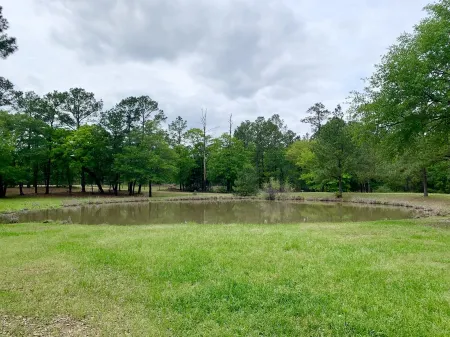 Pinehaven Luxury Glamping