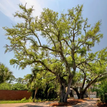 2 bedroom 2 bath Modern Luxury Townhome near Marshwalk