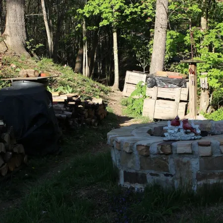 Scenic cabin near Hungry Mother, Mount Rogers, and Grayson Highlands Parks