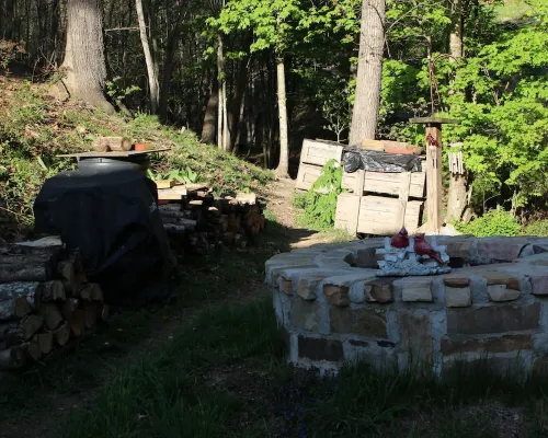 Scenic cabin near Hungry Mother, Mount Rogers, and Grayson Highlands Parks Hotels in Smyth County