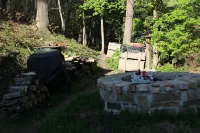飢餓母親、羅傑斯山和格雷森高地公園風景小木屋