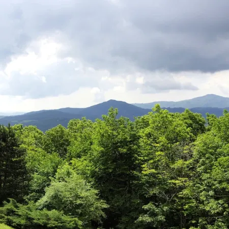 Overlook at Southcrest condo