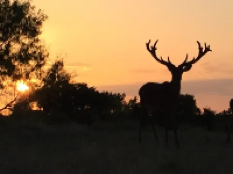 Red Deer Lodge HiBanks Ranch 12 minutes from Magnolia Silos