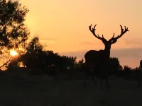 Red Deer Lodge HiBanks Ranch 12 minutes from Magnolia Silos Hotels in Robinson