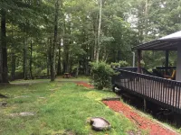 5 acres 4 bedroom cabin close to everything with fire pit, swimming fishing lake Hotels near Davidson River