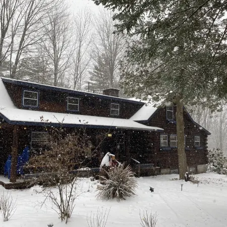 The perfect ADK log cabin getaway on 4 acres and 5 min. to town!