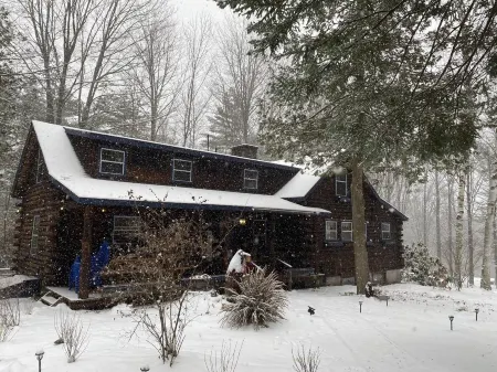 The perfect ADK log cabin getaway on 4 acres and 5 min. to town!