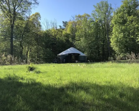 Totally secluded Yurt surrounded by waterfalls, brooks, cliffs and forest Hotels in Esopus